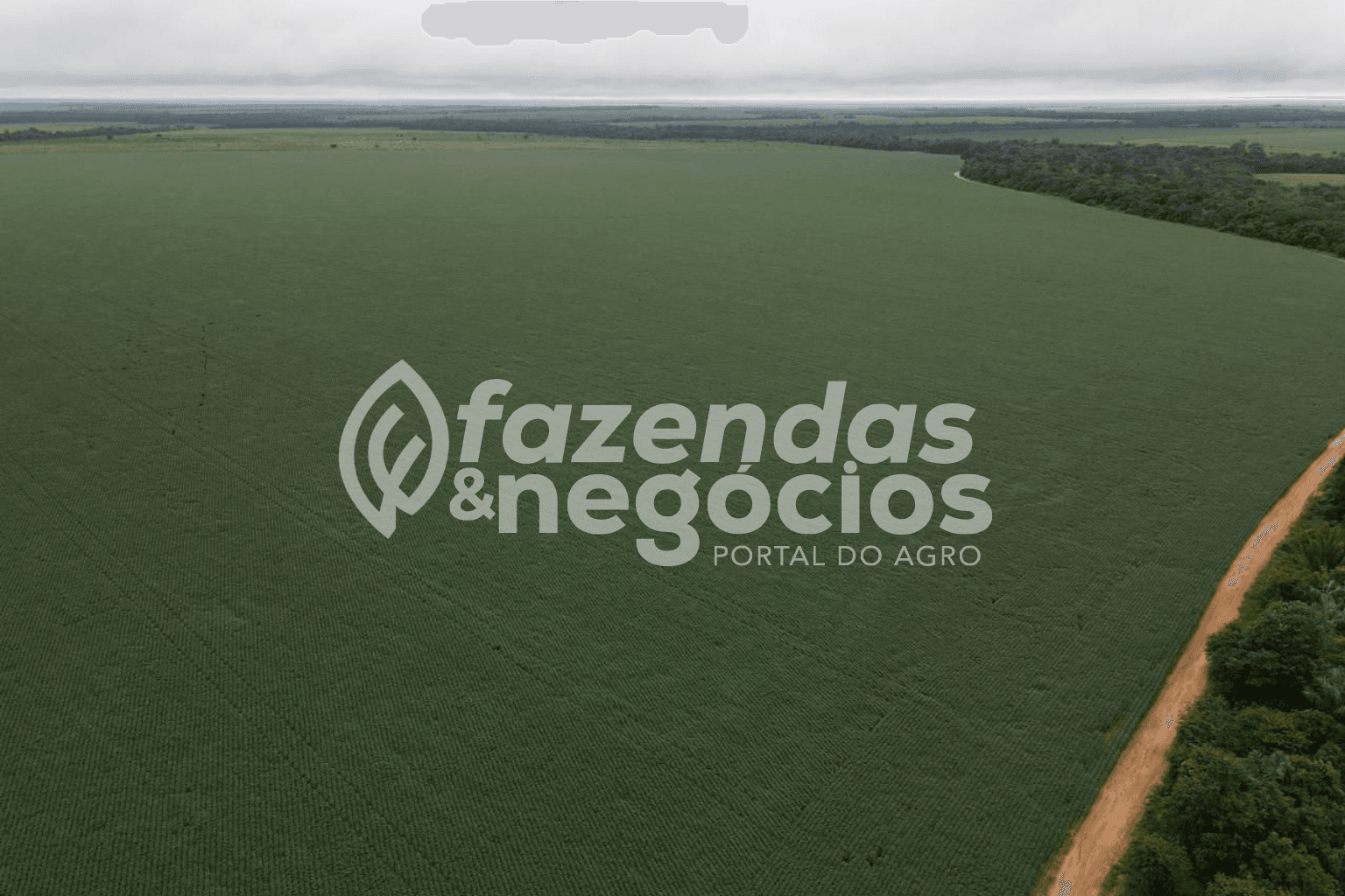 Fazenda beira asfalto em Mato Grosso
