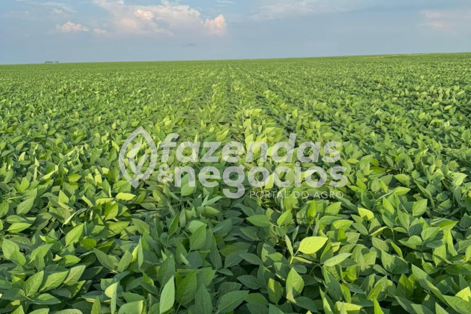 Fazenda disponível no Mato Grosso