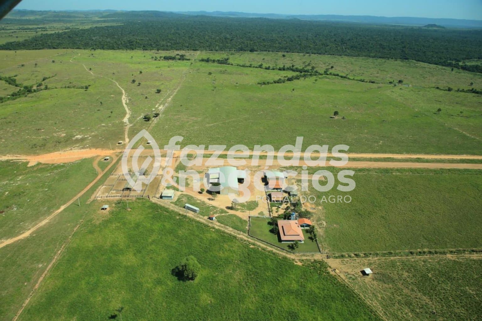 Fazenda a venda Pará